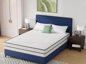 Catmint 10" Queen Innerspring Mattress