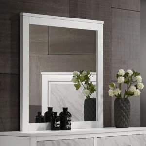 Darlene Mirror