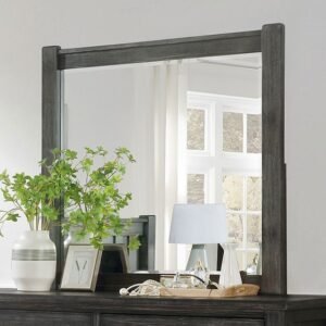 Regensburg Mirror